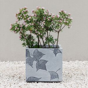 Primrose Stone Effect Garden Planter with Leaf Embossed Design in Grey 27cm Grey Primrose Stone Effect Garden Planter with Leaf Embossed Design in Grey 27cm Grey