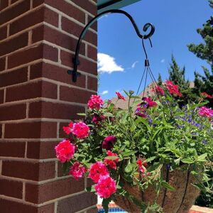 Marco Paul 16" Black Metal Hanging Basket Hook Black Marco Paul 16" Black Metal Hanging Basket Hook Black