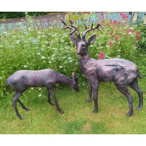 Inspirational Gifting Stag & Doe Deer Set our Largest Garden Sculptures - Hand Cast in Aluminium in Bronze Bronze Inspirational Gifting Stag & Doe Deer Set our Largest Garden Sculptures - Hand Cast in Aluminium in Bronze Bronze