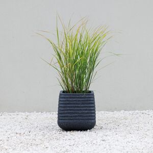 Primrose Square Ridged Outdoor Planter Garden Flower Pot 28cm in Black Black Primrose Square Ridged Outdoor Planter Garden Flower Pot 28cm in Black Black