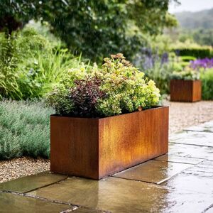 Nicoman Metal Planter Corten Steel Trough Planter Pre-Rusted 80cm x 40cm in Bronze Size: 80 cm x 40 cm Bronze 80 cm x 40 cm Nicoman Metal Planter Corten Steel Trough Planter Pre-Rusted 80cm x 40cm in Bronze Size: 80 cm x 40 cm Bronze 80 cm x 40 cm