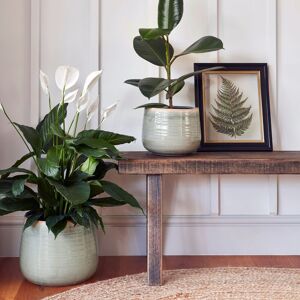 Ivyline Pot Como Mint, H21cm x D26cm in Mint Mint Ivyline Pot Como Mint, H21cm x D26cm in Mint Mint