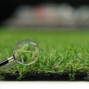 Artificial Grass GB Adelaide 20mm Artificial Grass in Green Size: 2000mm x 8000mm Green 2000mm x 8000mm Artificial Grass GB Adelaide 20mm Artificial Grass in Green Size: 2000mm x 8000mm Green 2000mm x 8000mm