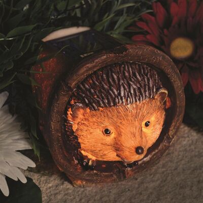 mysmartbuy Hedgehog Design Solar Light - Outdoor Patio or Decking Garden Ornament Decoration - 11cm x 11cm x 14.5cm Size: 11 cm x 11 cm x 14.5 cm Brown 11 cm x 11 cm x 14.5 cm mysmartbuy Hedgehog Design Solar Light - Outdoor Patio or Decking Garden Ornament Decoration - 11cm x 11cm x 14.5cm Size: 11 cm x 11 cm x 14.5 cm Brown 11 cm x 11 cm x 14.5 cm