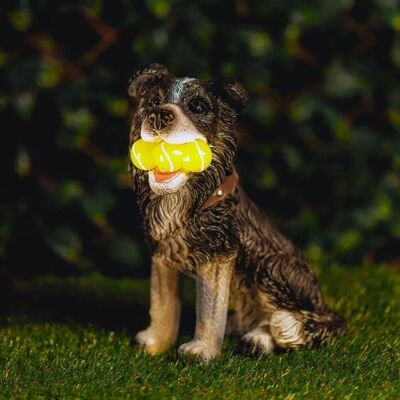 Marco Paul Solar Light Dog Garden Ornament Light Up Tennis Balls Puppy Statue in Bronze Bronze Marco Paul Solar Light Dog Garden Ornament Light Up Tennis Balls Puppy Statue in Bronze Bronze