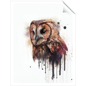 Warren Reed - Designer Tawny Owl Face Splashart Light Background Unframed Art Print Size: W8" x H10" Multicolor W8" x H10" Warren Reed - Designer Tawny Owl Face Splashart Light Background Unframed Art Print Size: W8" x H10" Multicolor W8" x H10"