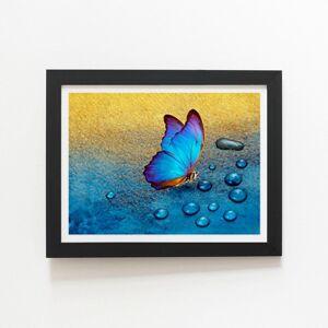 Warren Reed - Designer Butterfly On Dew Drops Framed Art Print in Black Size: W8" x H10" Black W8" x H10" Warren Reed - Designer Butterfly On Dew Drops Framed Art Print in Black Size: W8" x H10" Black W8" x H10"