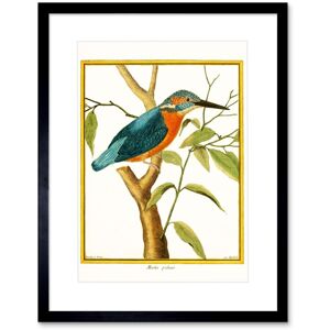 Artery8 Wall Art Print Bird Common Kingfisher Martin Pecheur Art Framed 9x7 inch in Black Size: W7" x H9" Black W7" x H9" Artery8 Wall Art Print Bird Common Kingfisher Martin Pecheur Art Framed 9x7 inch in Black Size: W7" x H9" Black W7" x H9"