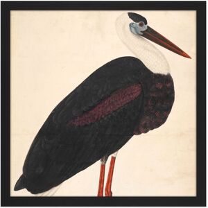 Artery8 Wall Art Print Black Stork In A Landscape Indian Watercolour Bird Painting Square Framed Picture 16X16 Inch Size: W16" x H16" Black W16" x H16" Artery8 Wall Art Print Black Stork In A Landscape Indian Watercolour Bird Painting Square Framed Picture 16X16 Inch Size: W16" x H16" Black W16" x H16"