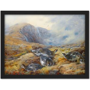 Artery8 Wall Art Print Thorburn Danger Aloft Rock Ptarmigan Bird Painting Large Framed Wall Décor Art in White Size: W18" x H24" White W18" x H24" Artery8 Wall Art Print Thorburn Danger Aloft Rock Ptarmigan Bird Painting Large Framed Wall Décor Art in White Size: W18" x H24" White W18" x H24"