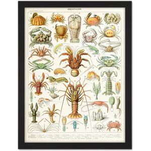 Artery8 Wall Art Print Millot Encyclopedia Page Crustaceans Lobster Large Framed Wall Décor Art in Brown Size: W18" x H24" Brown W18" x H24" Artery8 Wall Art Print Millot Encyclopedia Page Crustaceans Lobster Large Framed Wall Décor Art in Brown Size: W18" x H24" Brown W18" x H24"