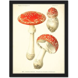 Artery8 Wall Art Print Dufour 1891 Mushroom Atlas Fly Agaric Large Framed Wall Décor Art in Light Oak Size: W18" x H24" Light Oak W18" x H24" Artery8 Wall Art Print Dufour 1891 Mushroom Atlas Fly Agaric Large Framed Wall Décor Art in Light Oak Size: W18" x H24" Light Oak W18" x H24"