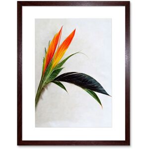 Artery8 Wall Art Print Tropical Plant Bird of Paradise Flower Botanical Bloom Artwork Framed 9X7 Inch in Brown Size: W7" x H9" Brown W7" x H9" Artery8 Wall Art Print Tropical Plant Bird of Paradise Flower Botanical Bloom Artwork Framed 9X7 Inch in Brown Size: W7" x H9" Brown W7" x H9"