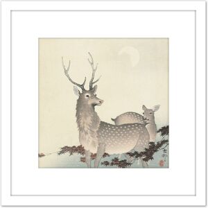Artery8 Ohara Koson Two Deer Japan Painting 8X8 Inch Square Wooden Framed Wall Art Print Picture with Mount in White White Artery8 Ohara Koson Two Deer Japan Painting 8X8 Inch Square Wooden Framed Wall Art Print Picture with Mount in White White