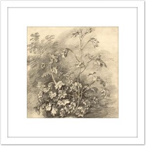 Artery8 Gainsborough Study Of Mallows 1750S Painting 8X8 Inch Square Wooden Framed Wall Art Print Picture with Mount in White White Artery8 Gainsborough Study Of Mallows 1750S Painting 8X8 Inch Square Wooden Framed Wall Art Print Picture with Mount in White White