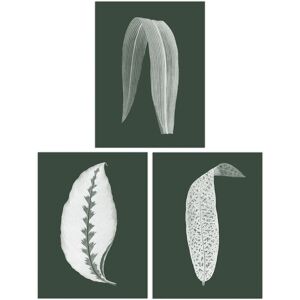 Artery8 Wall Art Print Pack of 3 A4 Forest Green Plant Tree Leaf Detailed Foliage Botanical Invert Colour Living Room s Set Multicolor A4 Artery8 Wall Art Print Pack of 3 A4 Forest Green Plant Tree Leaf Detailed Foliage Botanical Invert Colour Living Room s Set Multicolor A4