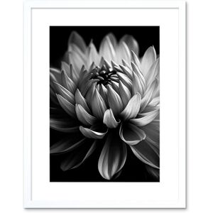 Artery8 Wall Art Print Macro Close Up Dahlia Flower Black & White Photo Artwork Framed 9X7 Inch Size: W7" x H9" White W7" x H9" Artery8 Wall Art Print Macro Close Up Dahlia Flower Black & White Photo Artwork Framed 9X7 Inch Size: W7" x H9" White W7" x H9"