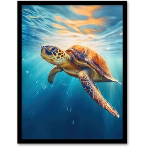 Artery8 Wall Art Print Sea Turtle Barbados Marine Swimming Blue Clear Water Art Framed in Black Size: W12" x H16" Black W12" x H16" Artery8 Wall Art Print Sea Turtle Barbados Marine Swimming Blue Clear Water Art Framed in Black Size: W12" x H16" Black W12" x H16"