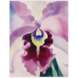 Artery8 Abstract Floral Watercolour Orchid Soft Bloom Wall Art Print in Purple Size: W12" x H16" Purple W12" x H16" Artery8 Abstract Floral Watercolour Orchid Soft Bloom Wall Art Print in Purple Size: W12" x H16" Purple W12" x H16"