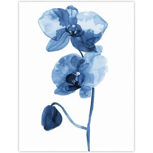 Artery8 Blue Orchid Flower Bloom Watercolour Painting Wall Art Print Size: W12" x H16" Blue W12" x H16" Artery8 Blue Orchid Flower Bloom Watercolour Painting Wall Art Print Size: W12" x H16" Blue W12" x H16"