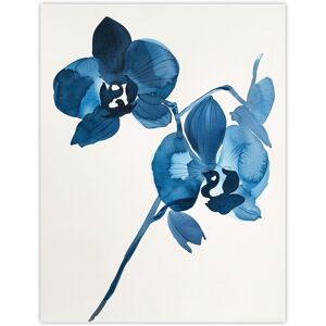 Artery8 Abstract Orchid Flower Bloom Blue Watercolour Wall Art Print Size: W12" x H16" Blue W12" x H16" Artery8 Abstract Orchid Flower Bloom Blue Watercolour Wall Art Print Size: W12" x H16" Blue W12" x H16"