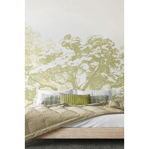 Origin Murals Etched Trees Wall Mural in Light Green Size: W350 cm x H280 cm Light Green W350 cm x H280 cm Origin Murals Etched Trees Wall Mural in Light Green Size: W350 cm x H280 cm Light Green W350 cm x H280 cm