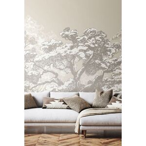 Origin Murals Etched Trees Wall Mural in Light Grey Size: W350 cm x H280 cm Light Grey W350 cm x H280 cm Origin Murals Etched Trees Wall Mural in Light Grey Size: W350 cm x H280 cm Light Grey W350 cm x H280 cm