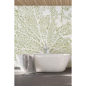 Origin Murals Skeleton Leaf Wall Mural in Natural Natural Origin Murals Skeleton Leaf Wall Mural in Natural Natural
