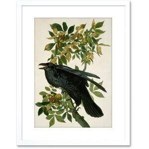 Artery8 Wall Art Print Painting Nature Animal Bird Audubon Raven Artwork Framed 9X7 Inch in White Size: W7" x H9" White W7" x H9" Artery8 Wall Art Print Painting Nature Animal Bird Audubon Raven Artwork Framed 9X7 Inch in White Size: W7" x H9" White W7" x H9"