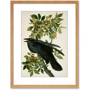 Artery8 Wall Art Print Painting Nature Animal Bird Audubon Raven Artwork Framed 9X7 Inch in Light Oak Size: W7" x H9" Light Oak W7" x H9" Artery8 Wall Art Print Painting Nature Animal Bird Audubon Raven Artwork Framed 9X7 Inch in Light Oak Size: W7" x H9" Light Oak W7" x H9"