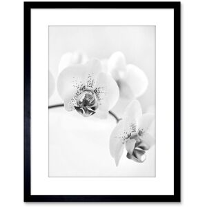 Artery8 Wall Art Print Photo Nature Plant Orchid Flower Black White Artwork Framed 9X7 Inch Size: W7" x H9" Black W7" x H9" Artery8 Wall Art Print Photo Nature Plant Orchid Flower Black White Artwork Framed 9X7 Inch Size: W7" x H9" Black W7" x H9"