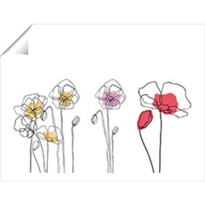 Warren Reed - Designer Linear Art Flowers Unframed Art Print Size: W12" x H16" Multicolor W12" x H16" Warren Reed - Designer Linear Art Flowers Unframed Art Print Size: W12" x H16" Multicolor W12" x H16"