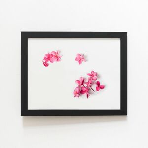 Warren Reed - Designer Pink Frangipani Flowers Framed Art Print in Black Size: W12" x H16" Black W12" x H16" Warren Reed - Designer Pink Frangipani Flowers Framed Art Print in Black Size: W12" x H16" Black W12" x H16"