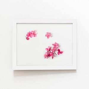 Warren Reed - Designer Pink Frangipani Flowers Framed Art Print in White Size: W20" x H30" White W20" x H30" Warren Reed - Designer Pink Frangipani Flowers Framed Art Print in White Size: W20" x H30" White W20" x H30"