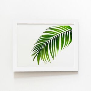 Warren Reed - Designer Single Palm Leaf Framed Art Print in White Size: W12" x H16" White W12" x H16" Warren Reed - Designer Single Palm Leaf Framed Art Print in White Size: W12" x H16" White W12" x H16"