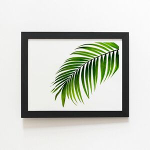 Warren Reed - Designer Single Palm Leaf Framed Art Print in Black Size: W20" x H30" Black W20" x H30" Warren Reed - Designer Single Palm Leaf Framed Art Print in Black Size: W20" x H30" Black W20" x H30"
