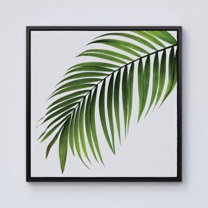 Warren Reed - Designer Single Palm Leaf Framed Canvas in Black Size: W30" x H30" Black W30" x H30" Warren Reed - Designer Single Palm Leaf Framed Canvas in Black Size: W30" x H30" Black W30" x H30"