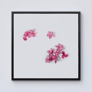 Warren Reed - Designer Pink Frangipani Flowers Framed Canvas in Black Size: w10 inch x h10 inch Black w10 inch x h10 inch Warren Reed - Designer Pink Frangipani Flowers Framed Canvas in Black Size: w10 inch x h10 inch Black w10 inch x h10 inch