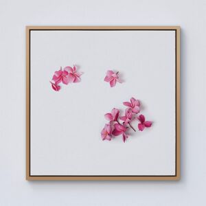 Warren Reed - Designer Pink Frangipani Flowers Framed Canvas in Light Brown Size: w40 inch x h40 inch Light Brown w40 inch x h40 inch Warren Reed - Designer Pink Frangipani Flowers Framed Canvas in Light Brown Size: w40 inch x h40 inch Light Brown w40 inch x h40 inch