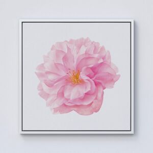 Warren Reed - Designer Single Cherry Blossom Framed Canvas in Off-White Size: W30" x H30" Off-White W30" x H30" Warren Reed - Designer Single Cherry Blossom Framed Canvas in Off-White Size: W30" x H30" Off-White W30" x H30"