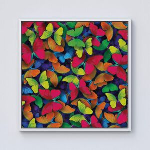 Warren Reed - Designer Rainbow Butterflies Framed Canvas in Off-White Size: w40 inch x h40 inch Off-White w40 inch x h40 inch Warren Reed - Designer Rainbow Butterflies Framed Canvas in Off-White Size: w40 inch x h40 inch Off-White w40 inch x h40 inch