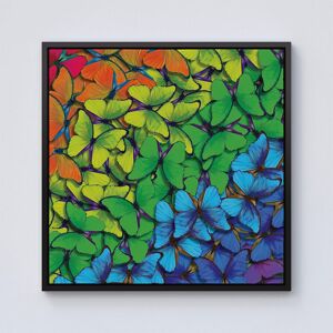 Warren Reed - Designer Multicoloured Butterflies Framed Canvas in Black Size: W30" x H30" Black W30" x H30" Warren Reed - Designer Multicoloured Butterflies Framed Canvas in Black Size: W30" x H30" Black W30" x H30"