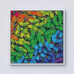 Warren Reed - Designer Multicoloured Butterflies Framed Canvas in Off-White Size: w40 inch x h40 inch Off-White w40 inch x h40 inch Warren Reed - Designer Multicoloured Butterflies Framed Canvas in Off-White Size: w40 inch x h40 inch Off-White w40 inch x h40 inch