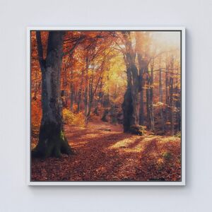 Warren Reed - Designer Autumn Forest Framed Canvas in Off-White Size: W16" x H16" Off-White W16" x H16" Warren Reed - Designer Autumn Forest Framed Canvas in Off-White Size: W16" x H16" Off-White W16" x H16"