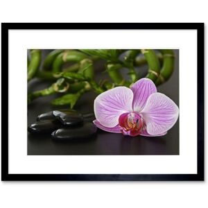 Artery8 Wall Art Print Pink Moth Orchid Black Stones Framed Size: W7" x H9" Black W7" x H9" Artery8 Wall Art Print Pink Moth Orchid Black Stones Framed Size: W7" x H9" Black W7" x H9"