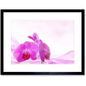 Artery8 Wall Art Print Pink Orchid Pretty Flowers Framed in Black Size: W7" x H9" Black W7" x H9" Artery8 Wall Art Print Pink Orchid Pretty Flowers Framed in Black Size: W7" x H9" Black W7" x H9"