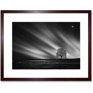 Artery8 Wall Art Print Lone Tree Landscape Aurora Black White Framed in Brown Size: W7" x H9" Brown W7" x H9" Artery8 Wall Art Print Lone Tree Landscape Aurora Black White Framed in Brown Size: W7" x H9" Brown W7" x H9"