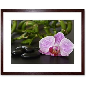 Artery8 Wall Art Print Pink Moth Orchid Black Stones Framed in Brown Size: W7" x H9" Brown W7" x H9" Artery8 Wall Art Print Pink Moth Orchid Black Stones Framed in Brown Size: W7" x H9" Brown W7" x H9"