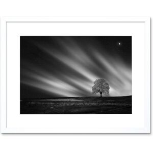 Artery8 Wall Art Print Lone Tree Landscape Aurora Black White Framed Size: W7" x H9" White W7" x H9" Artery8 Wall Art Print Lone Tree Landscape Aurora Black White Framed Size: W7" x H9" White W7" x H9"