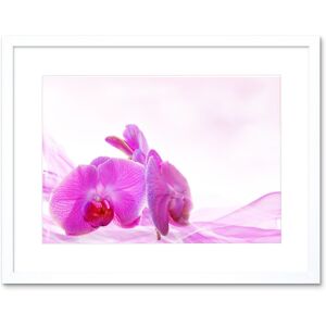 Artery8 Wall Art Print Pink Orchid Pretty Flowers Framed in White Size: W7" x H9" White W7" x H9" Artery8 Wall Art Print Pink Orchid Pretty Flowers Framed in White Size: W7" x H9" White W7" x H9"